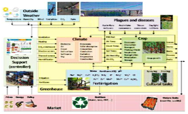 최첨단 시설 온실들의 환경제어를 위한 작물 생육 모델 활용(Rodriguez, 2015)