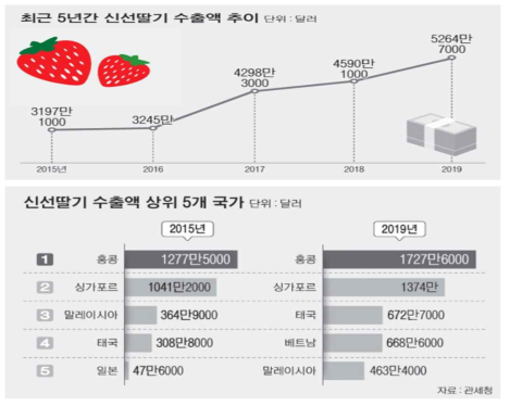 최근 5년간 딸기 수출액 변화(위), 주요 딸기 수출국의 수출액 (아래) (농민신문, 2020)