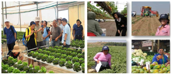 국제농업훈련센터를 통해 작물 재배 온실 견학