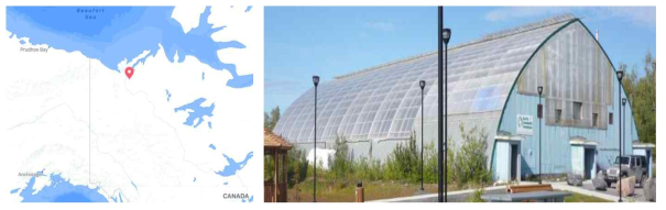 오래된 하키 경기장을 개조한 이누비크 커뮤니티 온실 지역주민들이 여름철에 과일과 채소를 재배할 수 있도록 함 (https://www.inuvik.ca/en/discovering-inuvik/Inuvik-Community-Greenhouse.asp)