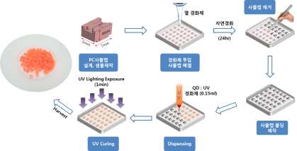 퀀텀닷 Cap 제작 공정 순서