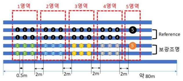 전주 딸기 조명 배치도