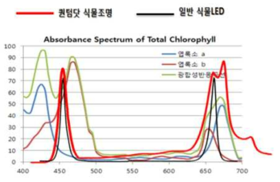 광합성 엽록소 반응 곡선 및 QD 조명의 wide 스펙트럼