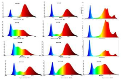 QD CAP을 활용한 다양한 식물조명 스펙트럼(예시)