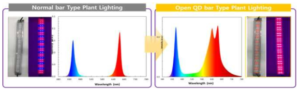 QD-CAP에 의한 20W 식물조명 스펙트럼 특성 향상 기술(예시)