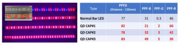 QD-CAP에 의한 퀀텀닷 식물조명 PPFD 향상