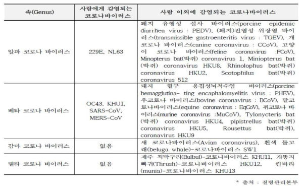 코로나 바이러스 분류