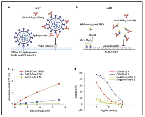 Principle and initial validation of the SARS-CoV-2 sVNT