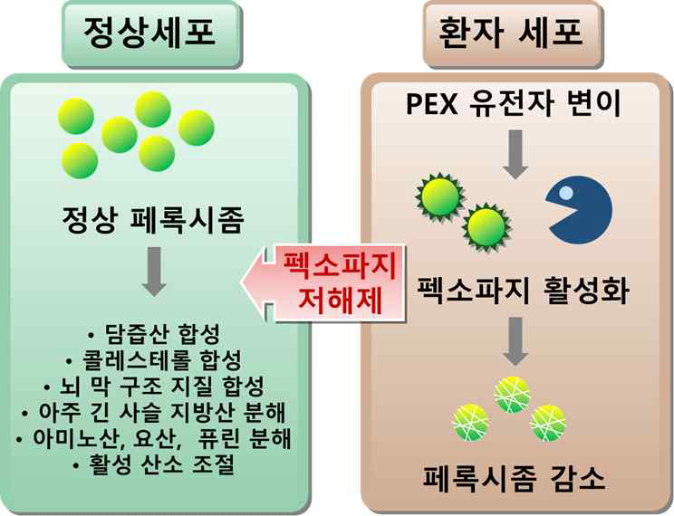 연구개발 대상 개념도