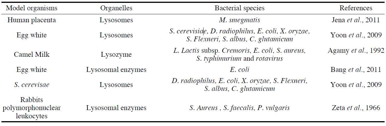 박테리아 종에 대한 리소좀의 항균활성