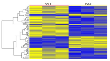 RNA sequencing