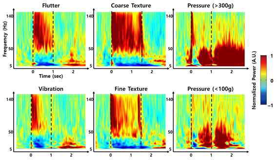 감각의 종류 특이적인 ECoG 고주파(high-gamma) 뇌반응 패턴