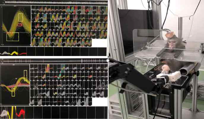 각 채널별 뇌 신경신호 수집 및 영장류 뻗어서 잡기 모습