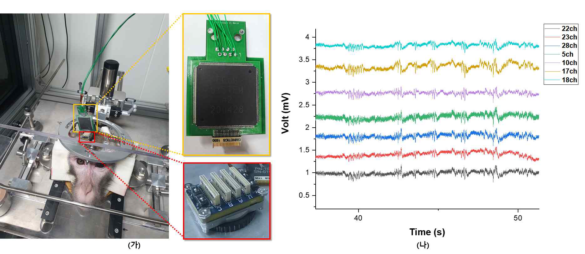 원숭이 head-mounted 시스템 실험 사진 및 결과 파형. (가) 제작한 시스템 및 커넥터 연결, (나) 측정된 200Hz 미만의 LFP 측정 파형