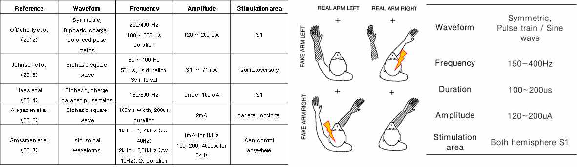 체성감각 자극 파라미터를 위한 문헌 정리(왼쪽) 및 체성감각 자극 파라미터 설정