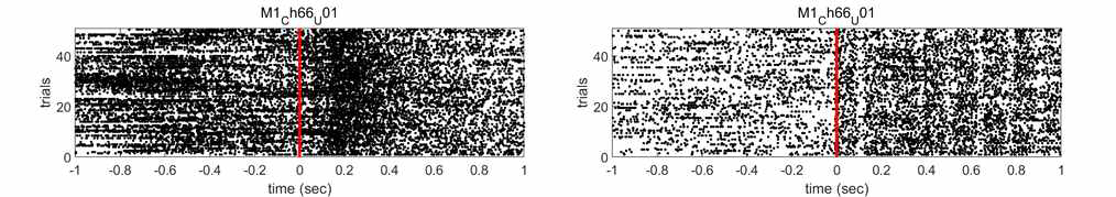 ICMS 비인가 (왼쪽) 및 인가 (오른쪽) 시 기록된 모든 시행에 대한 M1 뉴런의 발화 패턴 (빨간색 수직선은 상지운동 수행 (왼쪽) 및 자극 인가 시점 (왼쪽/오른쪽 모두))