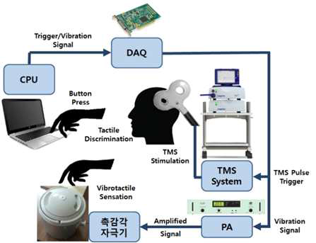 실시간 뇌자극 시퀀스가 가능한 시스템 구성도