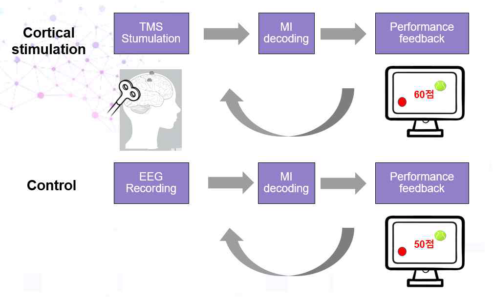 중증장애인 대상 비침습적 EEG BMI 실험 모식도