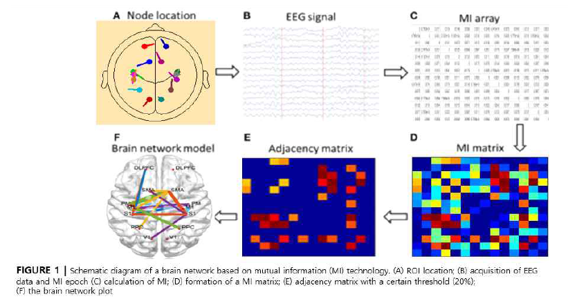 Source 분석부터 brain network model을 만들기까지 전반적인 과정