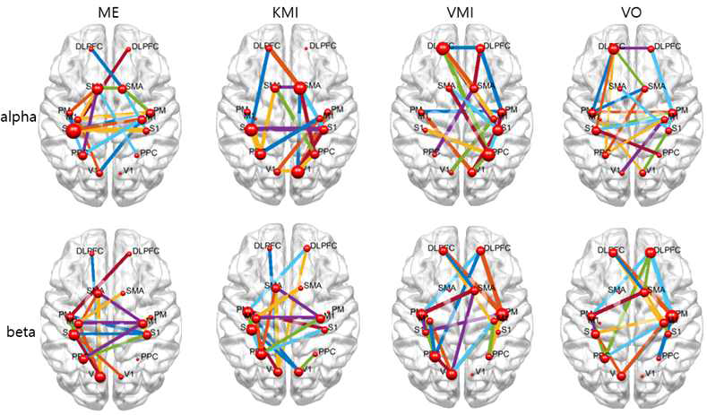 알파와 베타대역에서 실제운동, 체성감각운동상상, 시각운동상상, 시각 관찰의 네트워크 패턴