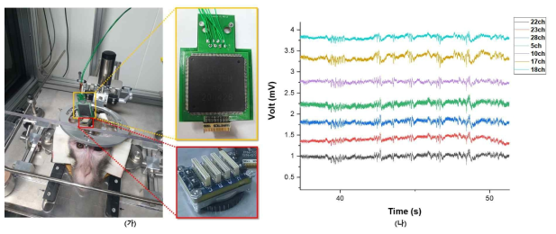 원숭이 head-mounted 시스템 실험 사진 및 결과 파형. (가) 제작한 시스템 및 커넥터 연결, (나) 측정된 200Hz 미만의 LFP 측정 파형