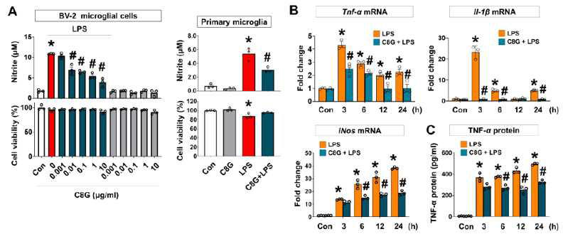 C8G의 뇌염증 세포모델에서의 항염증 효과