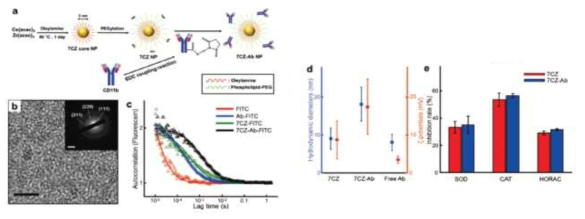 Synthesis, characterization and ROS scavenging performance of 7CZ and 7CZ-Ab NPs