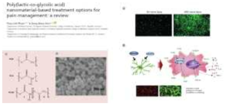 Microglia and PLGA NP on pain