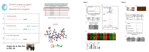 Atrocyte targeting AstroLa-Sox9 PLGA NP on RB induced brain infarct