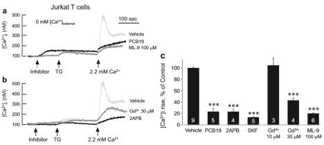 Jurkat T세포에서 PCB19에 의한 TG-induced Ca2+ 억제 효과