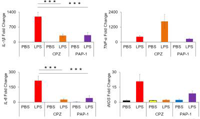 chlorpromazine은 immunosuppressive effect가 있다. (A) Chlorpromazine은 대표적인 pro-inflammatory cytokine의 mRNA expression level을 inhibition 하였다