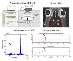 Acoustic emission 실시간 측정 및 초음파 강도 조절