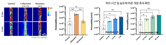 Mannitol에 의한 BBB 개방 효과 확인
