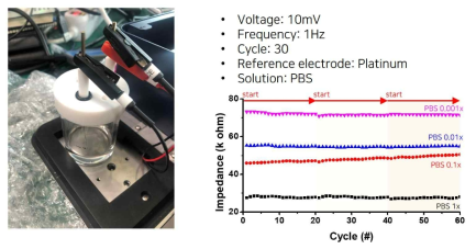 PBS 이온 농도에 따른 EIS 측정 시스템 신호 경향성 검증