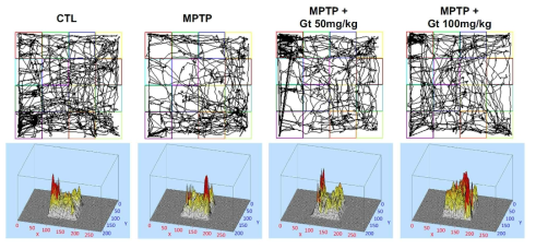 Motor function test after gintonin administration