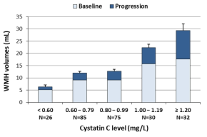 혈중 내 cystatin C 농도에 따라서 혈관성 신경손상의 정도가 크고 진행함