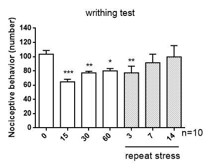 급성 및 만성 IMO 스트레스가 Writhing 통증에 미치는 영향