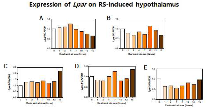 Acute와 chronic 스트레스가 Hypothalamus에서의 LPA 수용체들의 발현에 미치는 영향