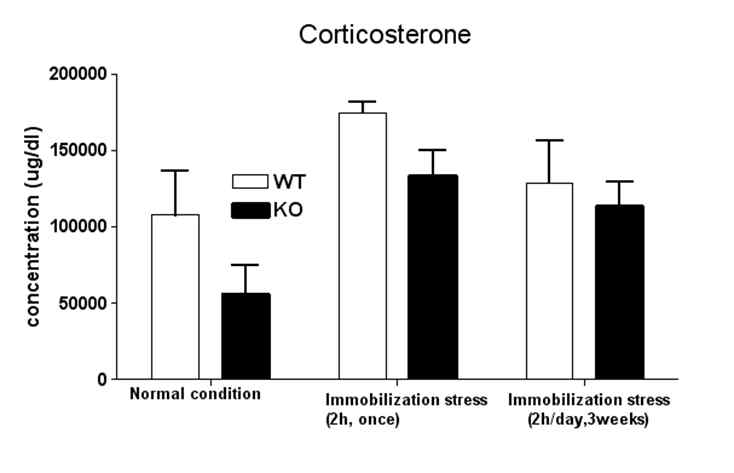 Srx-Prx knock out 마우스 모델에서의 구금스트레스 후 호르몬 분석