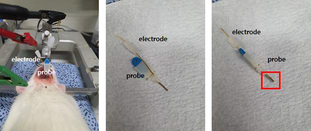 probe와 electrode를 연결하여 실시간 약물 투여 및 dopamine 측정