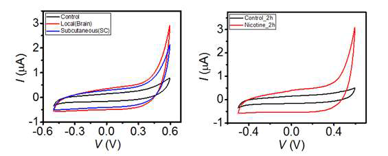 Nicotine local 및 subcutaneous injection 후 CV 측정 및 real-CSF에서 dopamine CV 측정