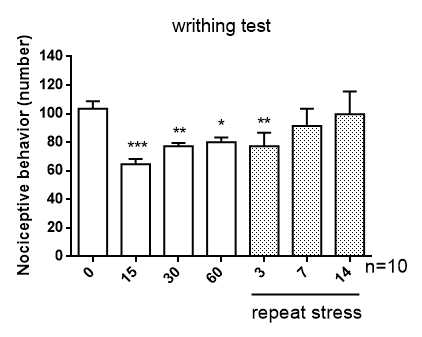 급성 및 만성 IMO 스트레스가 Writhing 통증에 미치는 영향
