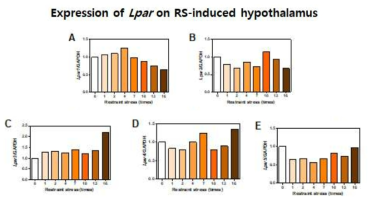 Acute와 chronic 스트레스가 Hypothalamus에서의 LPA 수용체들의 발현에 미치는 영향