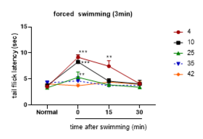 마우스를 여러 다른 온도의 물에 3분간 swimming stress에 노출 시켰을 때, tail-flick 반응에 미치는 영향