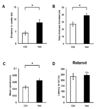 14-3-3γ Hetero KO 생쥐는 과잉행동 (hyperactivity)을 보임