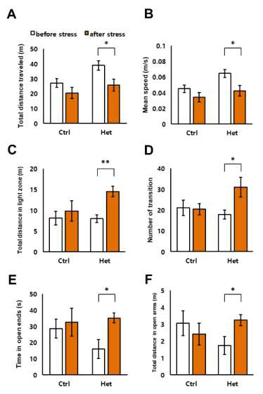 14-3-3γ Hetero KO 생쥐는 급성 스트레스에 민감한 반응을 보임