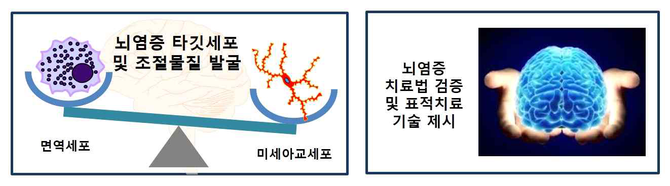 뇌손상 후 뇌염증 치료법 검증 및 표적치료 기술 제시