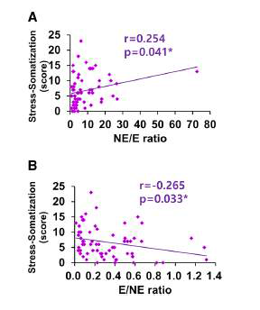 카테콜아민 비율과 스트레스 신체화 정도의 상관관계