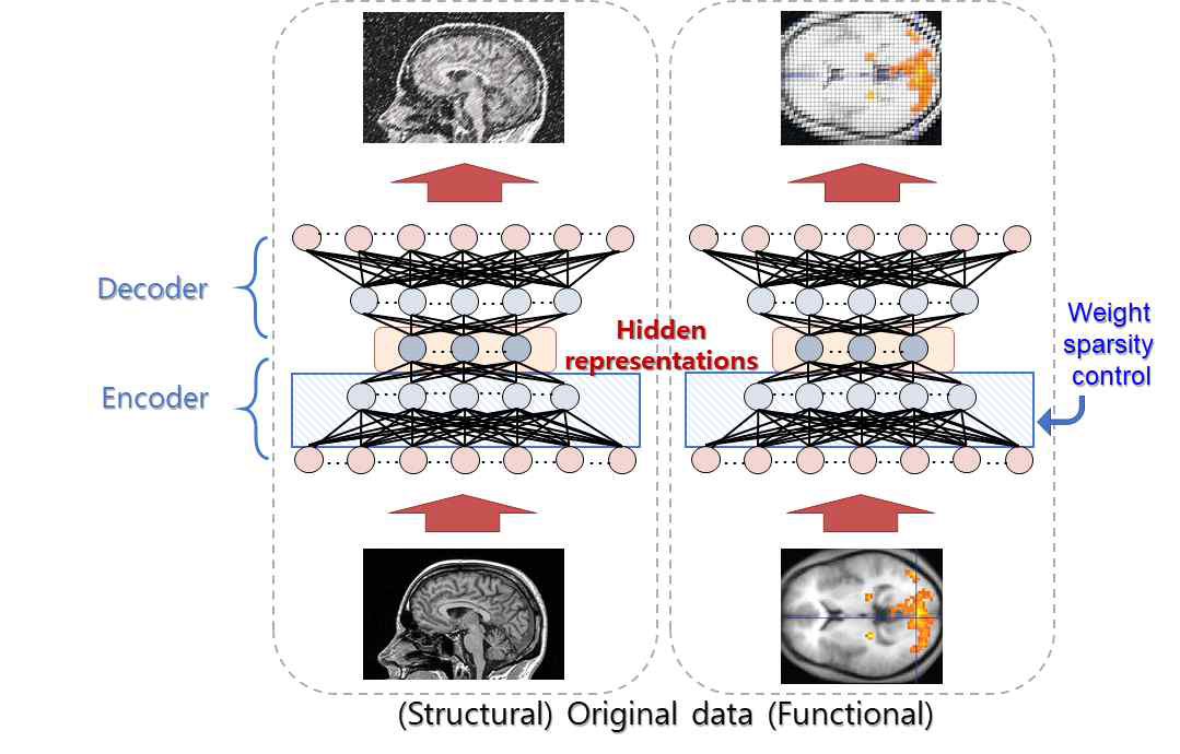 뇌의 구조적, 기능적 정보에서 함축된 정보를 추출하기 위한 오토인코더