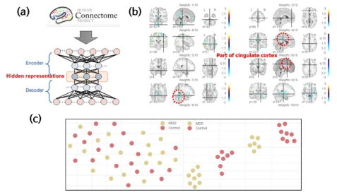(a) HCP 데이터를 활용한 오토인코더 학습 개념도 (b) 딥뉴럴네트워크가 학습한 모델의 가중치 특징 추출 맵 (Weight feature map) 결과 (c) 그림. 오토인코더의 학습 결과 추출된 latent represemtatopn을 활용한 t-SNE 맵 (MDD : 우울증 환자군, Control : 정상인)